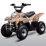 Little Sport 110cc 4-Wheeler