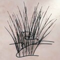 Cattail Wall Art
