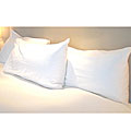 Allergy Free Pillow Protector Pair