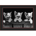 Trio Framed Canvas Art