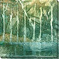Caroline Ashton 'Imposed Environment I' Canvas Art