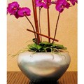 Large Silverleaf Orchid Vase