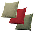 Regency 18-inch Square Throw Pillow Pair