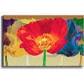 Robert Mertens Poppy Tango Stretched Canvas Art