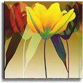 Robert Mertens Lily Dance Stretched Canvas Art