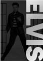 Elvis Collection (DVD)