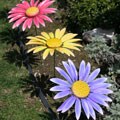 Sunflower Garden Stakes & Wall Decor