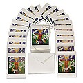 The Goddess of Peace 20 Greeting Cards (USA)