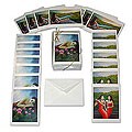 Balinese 'Dreams' 20 Blank Greeting Cards (USA)