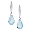 14k White Gold Blue Topaz Drop Earrings