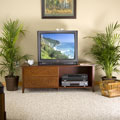Barrington Entertainment / Storage Bench (Walnut)
