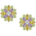 Sterling Silver Multi-gemstone Earrings
