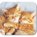 Cuddly Kittens Mouse Pad