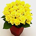 Yellow Sweetheart Roses (Case of 20)