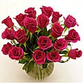 Hot Pink Sweetheart Roses (Case of 20)