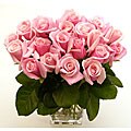 Pink Long Stem Roses (20 Stems)