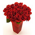 Premium Red Long Stem Roses (Case of 20)