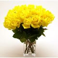 Yellow Long Stem Roses (Case of 20)