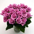 20 Mauve Long Stem Roses