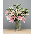 Sorbonne Lilies (10 Stems)