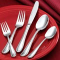 Rogers 20-piece Dream Glow Flatware Set
