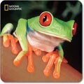 National Geographic Frog Mouse Pad