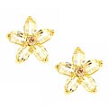 Sterling Silver Cubic Zirconia Flower Earrings