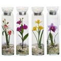 Flower Candle Holders