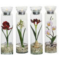 Candle Assortment