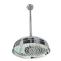 Chrome Showerhead and Arm