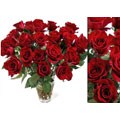 Bouquet of 75 Fresh Red Roses (18 in. stem length)