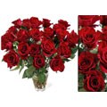 150 Fresh Red Wholesale Roses (18 in. stem length)