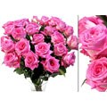 Bouquet of 50 Hot Pink Roses (18 in. stem length)
