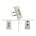 HDMI Dual Port Wall Plate