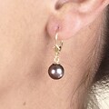 14k Yellow Gold Akoya Pearl Earrings
