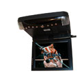 9.2-inch Flip-down Roof-mounted DVD with TV Tuner