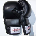 Mixed Martial Arts Training Glove