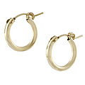 Goldplated Silver Hoop Earrings