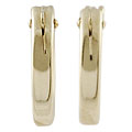 Goldplated Silver Hoop Earrings
