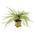 Silk Fern with Gold-brushed Metal Pot