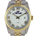 Nexus Men's sport-style White Dial Two-tone Watch