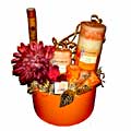 Festive Carnival Candle Gift Basket