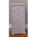 Child Scale 5-drawer Lined Cabinet