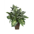 Mixed Greens Zebra with Wicker Silk Plant