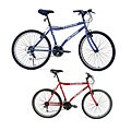 Alpha Campus Commuter Bike