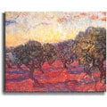 Vincent Van Gogh 'Olive Grove' Stretched Canvas