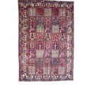 Iranian Bakhtiari Hand-knotted Rug (7' x 10')