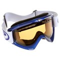 Dragon DX Snow Goggles (Import Blue/ Amber)