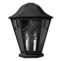 Pacifica Outdoor Wall Lantern
