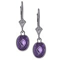 14k White Gold Amethyst Leverback Earrings